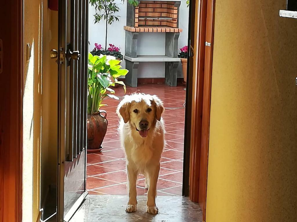 Casa Rural La Herencia Alía Eksteriør bilde